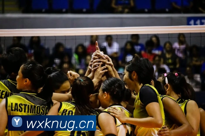 开宝体育app下载官网发展历程